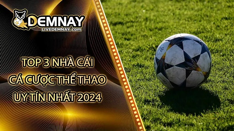 Top 3 nhà cái cá cược thể thao uy tín nhất Việt Nam 2024